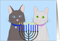 Happy Hanukkah Cats with Menorah Candles Burning card