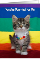 LGBT Kitten Wearing Rainbow Necklace Sitting on Pride Flag I Love You card