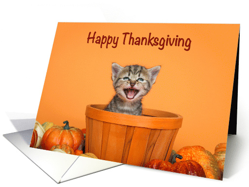 Happy Thanksgiving Kitten Peeking out of an Autumn Basket... (1719506)