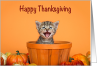 Happy Thanksgiving Kitten Peeking out of an Autumn Basket on Orange card