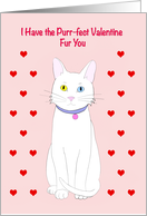 Happy Valentine’s Day Cartoon Kitten with Hearts card