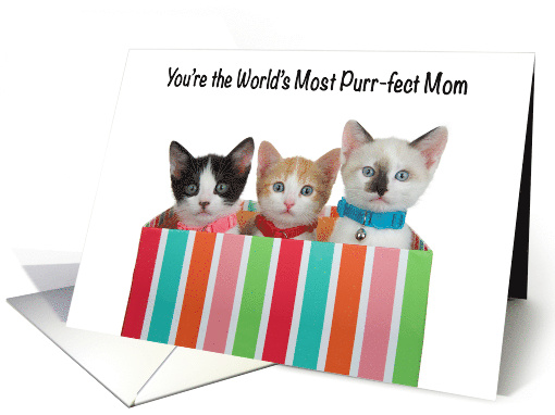 3 Diverse Kittens in Colorful Box Happy Mother's Day from... (1734246)