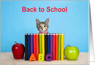 Kitten Peeking Over Colorful Row of Books with Apples and ABC Blocks card