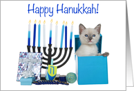 Siamese Kitten Peeking Out Hanukkah Present card