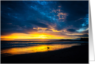 Encouragement - Dog in the Surf with Beautiful Sunset - Card