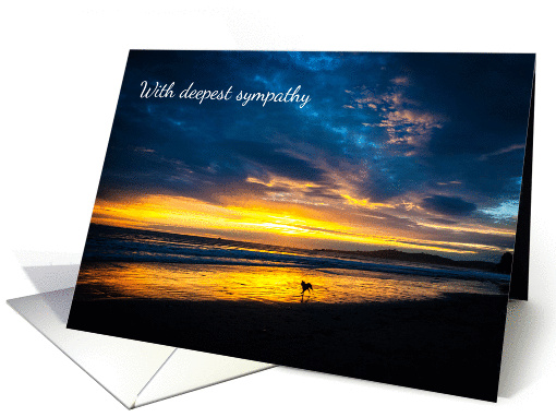 With Deepest Sympathy - Sincere Condolences - Beach Sunset - Dog card