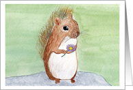 Cute Brown Squirrel Holding a Purple and Yellow Daisy Flower card