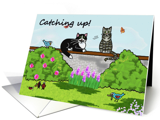 Whimsical Cats sitting on a wall , talking in a sunny garden. card