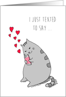 Valentine’s Day for Boyfriend - Cute Kitty Texting I Love You card