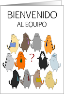 Welcome to the Team / Bienvenido al Equipo - Cute Business Kitties card