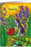 Thank You Black and White Cat in Garden card