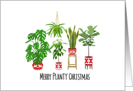 Merry Planty Christmas, Plants, Business for Customer card