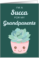 Valentines Day Im a Succa for My Grandparents Kawaii Succulent Plant card