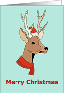 Funny Christmas Deer Wearing Santa Hat and Scarf card