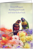 Both of us Miss You Flower Garden Parrots card