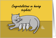 Congratulations On Having Triplets Card With Nursing Cat Cartoon card