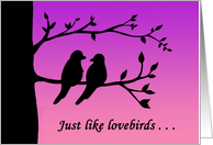 Love And Romance Card With Two Lovebirds On A Tree Branch card