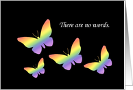 Sympathy Card With Rainbow Butterflies There Are No Words card