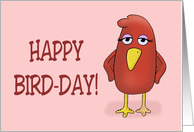 Birthday Card With A Cute Cartoon Bird In Red Happy Bird-Day card