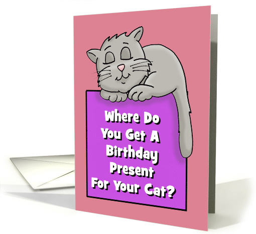 Birthday Card For A Cat Where Do You Get A Present For Cat card
