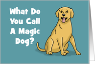Funny Birthday Card What Do You Call A Magic Dog card
