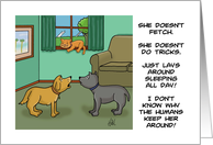 National Cat Day Card With Cartoon Of Two Dogs Discussing A Cat card