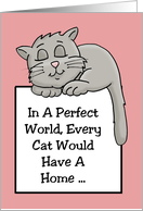 Pet Card In A Perfect World Every Cat Would Have A Home card