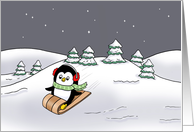 Cute Blank Note Card With Cartoon Penguin On A Sled card