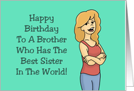 Birthday Card For Brother Who Has The Best Sister In The World card