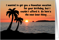 Humorous Birthday Card I Wanted To Get You A Hawaiian Vacation card