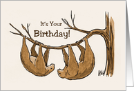 Humorous Birthday Card Let’s Get Slothed! card