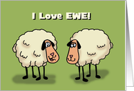 Cute Lesbian Love, Romance Card With Two Sheep I Love Ewe! card