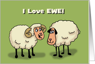 Cute Love, Romance Card With Ram And Sheep I Love Ewe! card