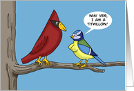 Humorous Adult National Bird Day With Two Birds I’m A Titwillow card