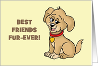 Humorous Love Your Pet Day With Cartoon Dog Best Friends Fur-Ever card