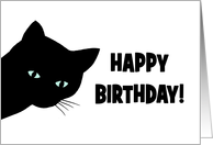 Humorous Birthday From The Cat Left Your Present In Litter Box card