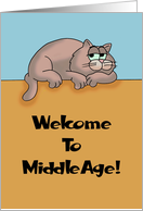 Welcome To Middle Age The Gap Between Youth And Infirmity card