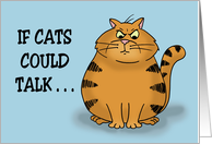 Humorous Friendship Card If Cat’s Could Talk They Wouldn’t card