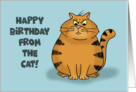 Happy Birthday From The Cat I Left Your Present Is In The Litter Box card