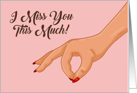 Adult Miss You With Suggestive Hand I Miss You This Much card