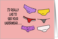 Humorous Adult Romance I’d Really Like To See Your Underwear card