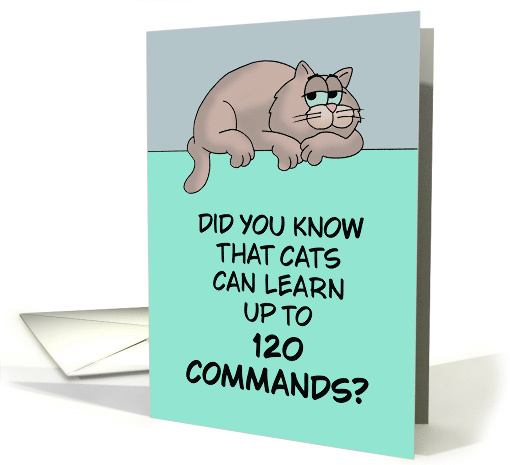 National Cat Day Cats Can Learn Up To 120 Commands Don't Want To card