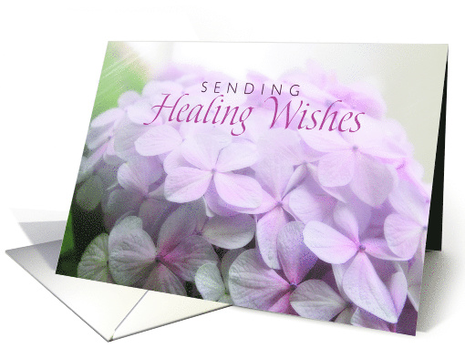 Healing Wishes with Soft Pink Hydrangea card (1472274)