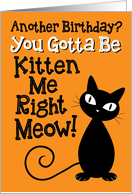 Another Birthday? You Gotta Be Kitten Me Right Meow! card