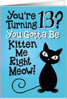 You’re Turning 13? You Gotta Be Kitten Me Right Meow! card