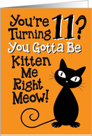 You’re Turning 11? You Gotta Be Kitten Me Right Meow! card