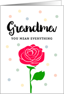 Happy Mother’s Day - Grandma, You Mean Everything card