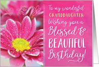 Granddaughter Birthday, Wishing you a Blessed and Beautiful Birthday card