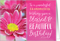 Grandmother Birthday, Wishing you a Blessed and Beautiful Birthday card