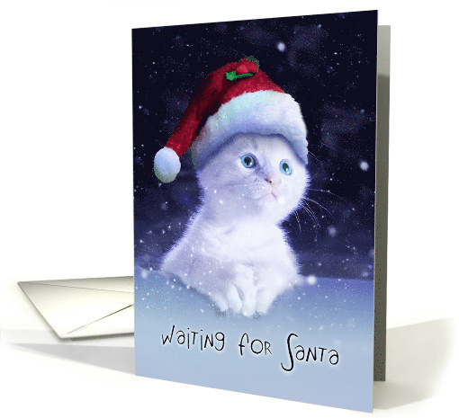 Cute White Cat Waiting for Santa in a Christmas Season... (1501628)